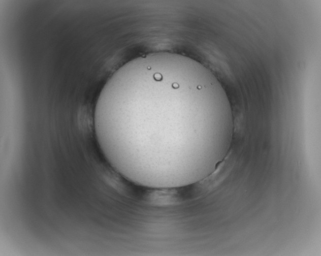 X0000111590179200907301434