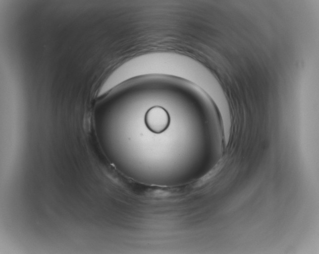 X0000111590180200907301434