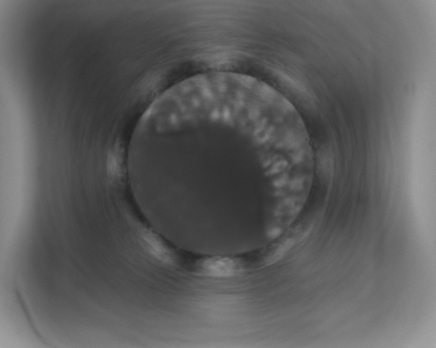 X0000111590181200907301434