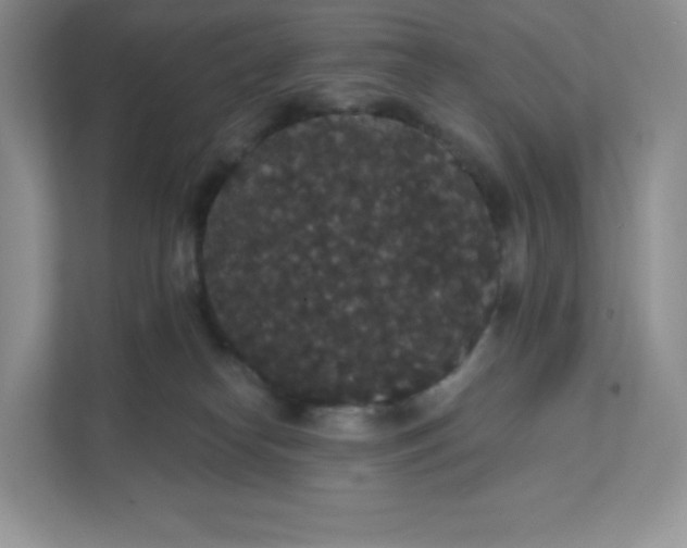 X0000111590182200907301434