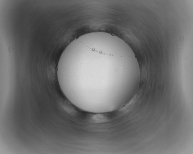 X0000111590183200907301434