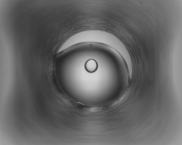 X0000111590184200907301434