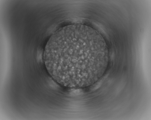 X0000111590185200907301434