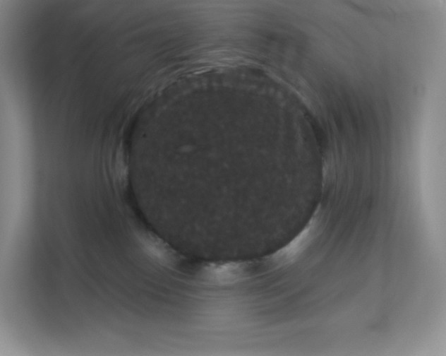 X0000111590186200907301434