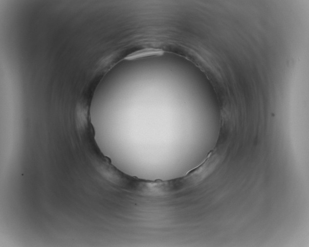 X0000111590188200907301434