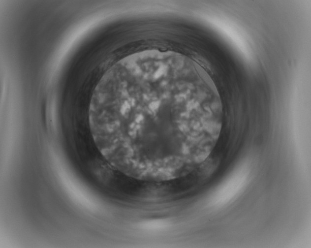 X0000111590189200907301434