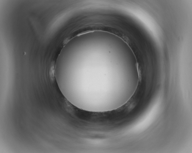 X0000111590190200907301434