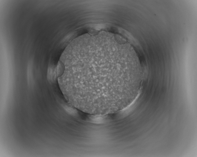 X0000111590191200907301434