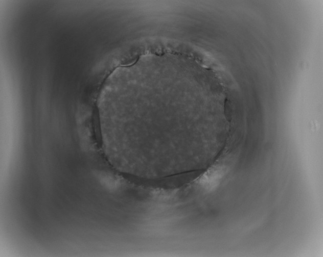 X0000111590192200907301434