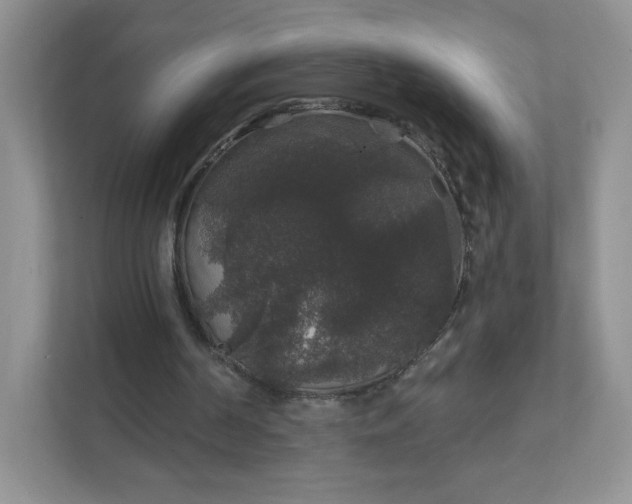 X0000111590194200907301433