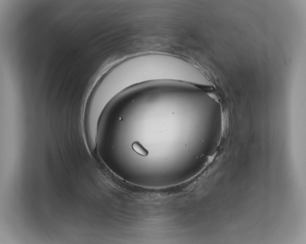 X0000111590195200907301433