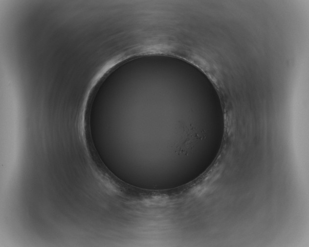 X0000111590196200907301433