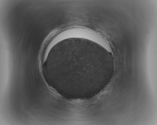 X0000111590197200907301433