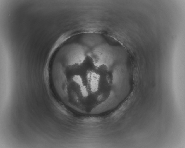 X0000111590198200907301433