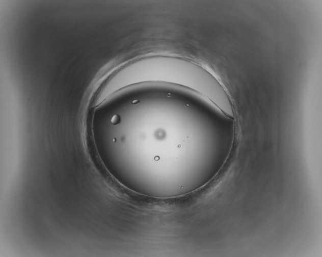 X0000111590199200907301433