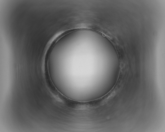 X0000111590200200907301433