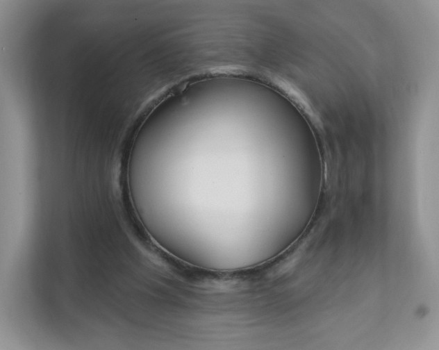 X0000111590201200907301433