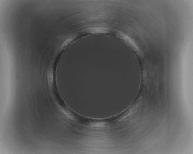 X0000111590202200907301433