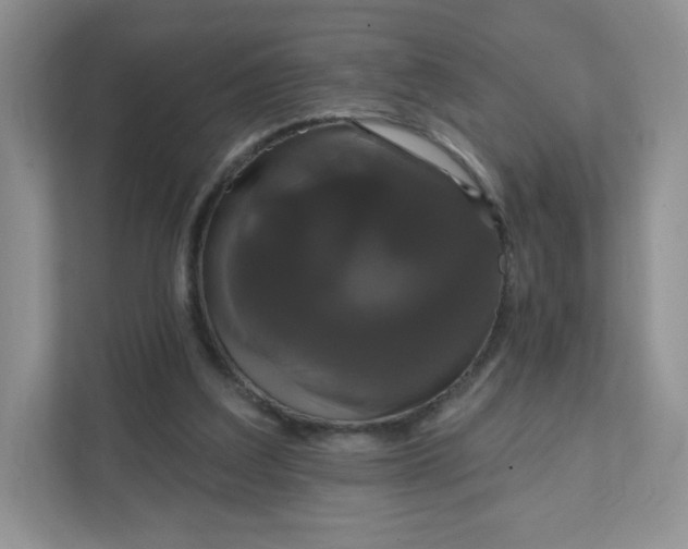 X0000111590203200907301433