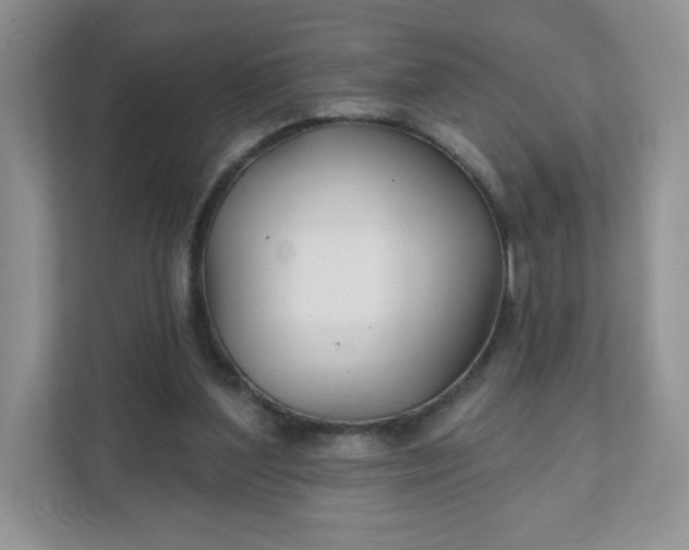 X0000111590204200907301433