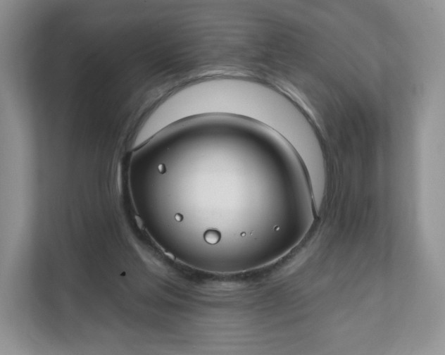 X0000111590205200907301433