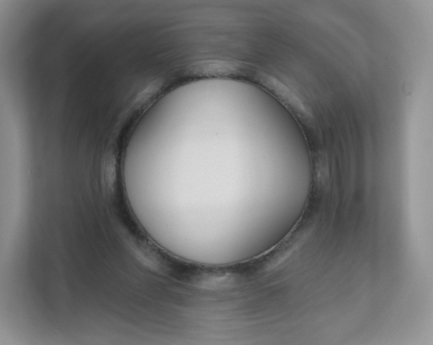 X0000111590206200907301433