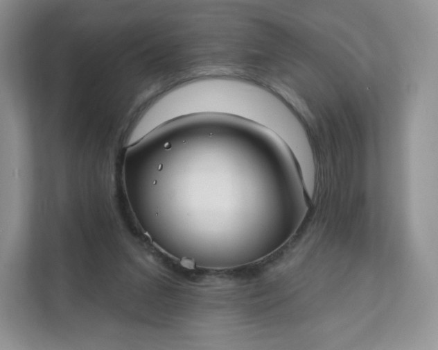 X0000111590207200907301433