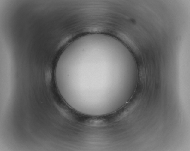 X0000111590208200907301433