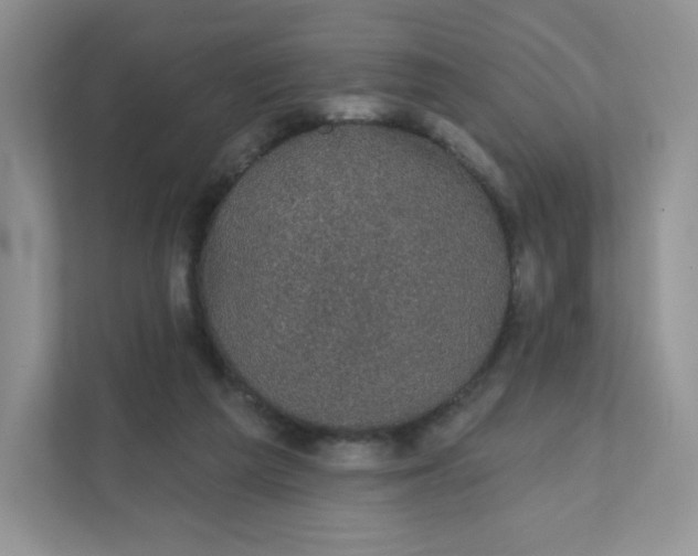 X0000111590209200907301433