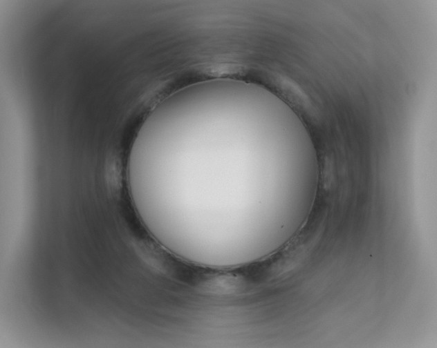 X0000111590210200907301433