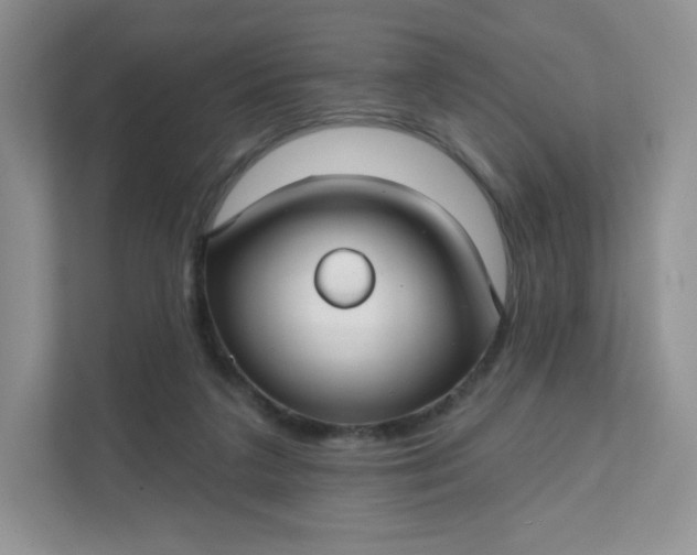 X0000111590211200907301433