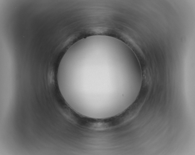 X0000111590212200907301433