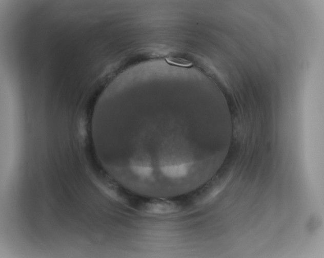 X0000111590215200907301433