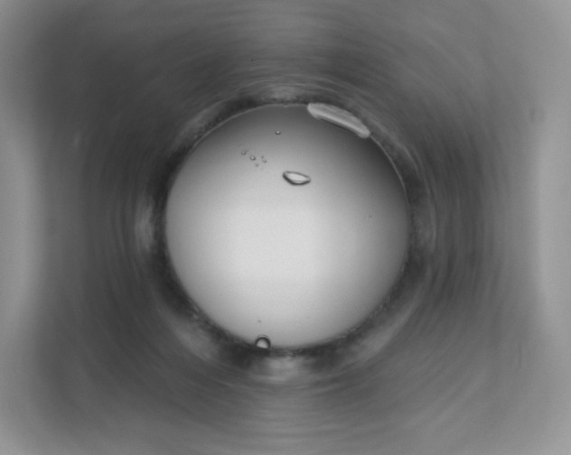 X0000111590216200907301433