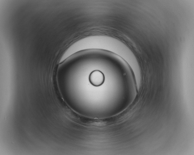 X0000111590217200907301433