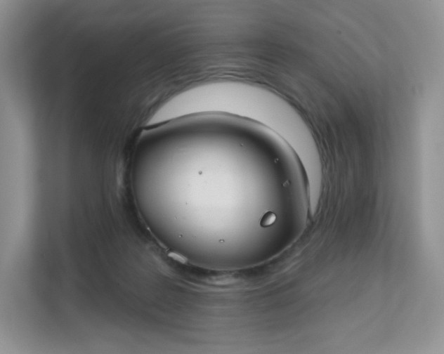 X0000111590219200907301433