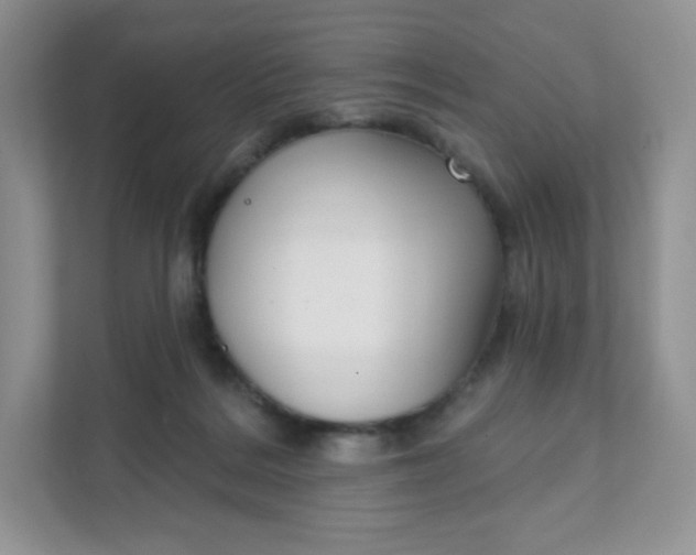 X0000111590220200907301433