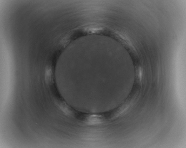 X0000111590222200907301433