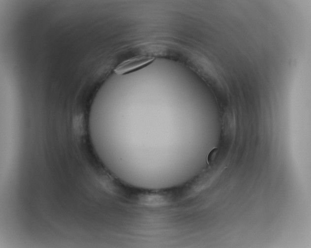 X0000111590224200907301433