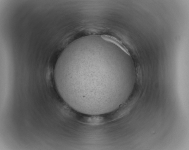 X0000111590225200907301433