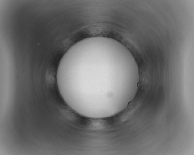 X0000111590226200907301433