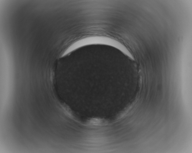 X0000111590227200907301433