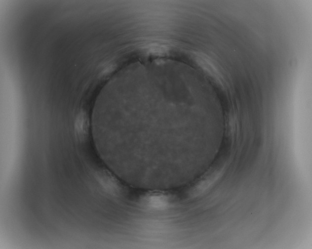 X0000111590228200907301433