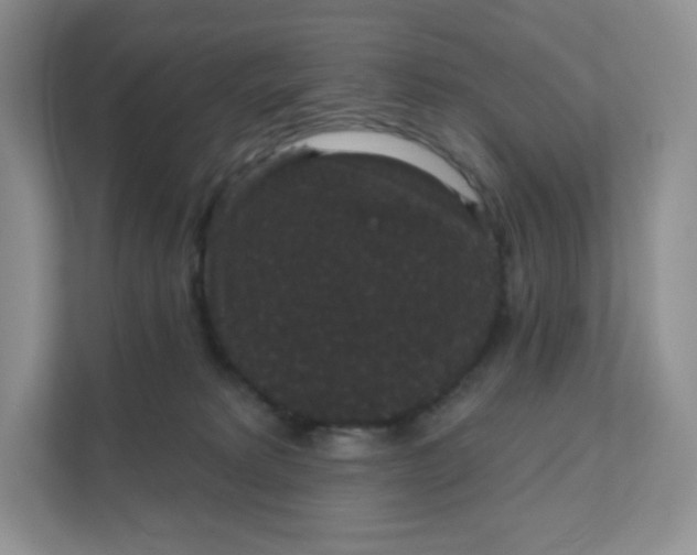 X0000111590229200907301433