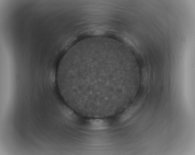 X0000111590230200907301433