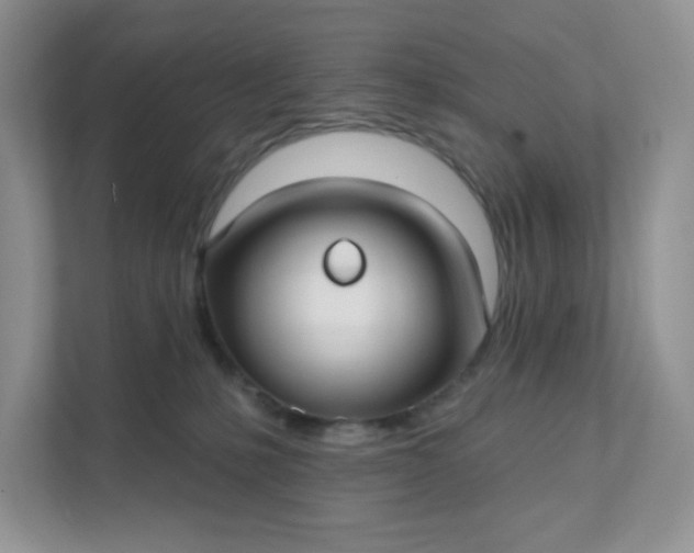 X0000111590231200907301433