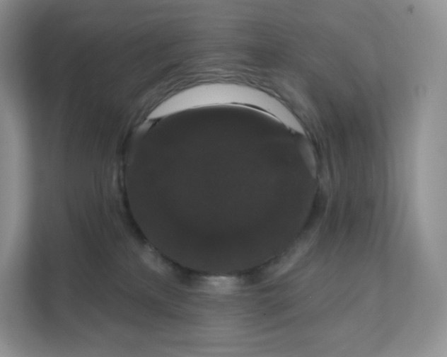 X0000111590233200907301433