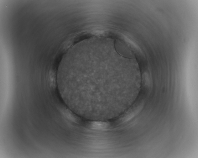 X0000111590234200907301433