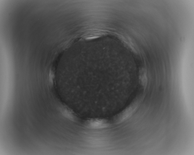 X0000111590235200907301433