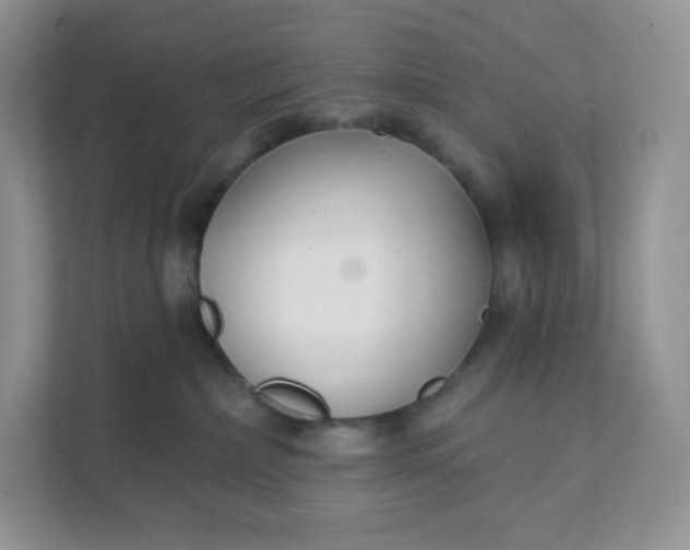 X0000111590236200907301433